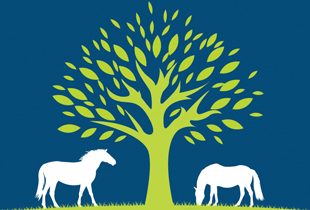 Bellarine Peninsula Thoroughbred Agistment Park